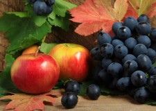 hale de fructe germania