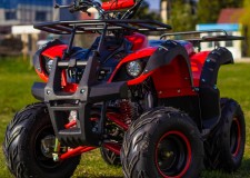 ATV TORRONTO M7 NEW AGE 2019