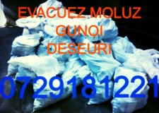 Evacuez Moloz Gunoi Saci Deseuri PRETURI MICI Bucuresti Ilofv