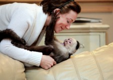 CapucinÄƒ, maimuÈ›e de veveriÈ›Äƒ, pÄƒianjen È™i marmoset disponibile pentru adoptare