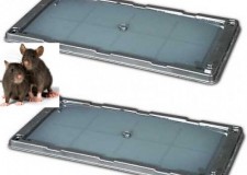 Set (2 buc.) CapcanÄƒ adezivÄƒ â€“ Terminator È™obolani - 13 Ñ… 26 cm.