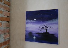 Tablou pe panza in culori acrilice diverse teme