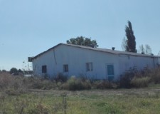 Spatiu industrial 1300 mp si teren 8633 mp, Fundulea