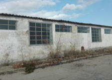 Teren intravilan 4455 mp si hala, Soseaua Brailei, Buzau