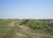 Teren agricol 43300 mp, Bolintin-Deal, Giurgiu