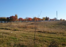 Teren 100.000 mp, Galati