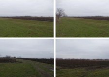 Teren 5.000 mp, Tarla 97, Afumati, Ilfov