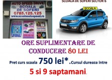 Sedinte suplimentare de conducere sector 6