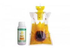 CapcanÄƒ pentru viespi + MomealÄƒ 500 ml.