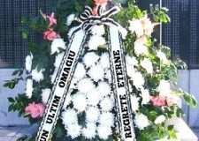 Imprimanta mesaj funerar. Imprimanta portabila  , compacta