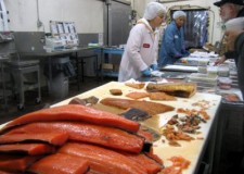 Fabrica de conserve Norvegia/ 2500 euro