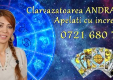 Prezicatoare tarot, tamaduitoare