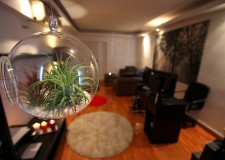 Oportunitate angajare-modele