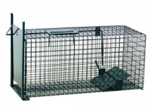 CapcanÄƒ umanÄƒ cu lamelÄƒ pentru rozÄƒtoare mari - jderi, dihori, iepuri, È™obolani, pisici sÄƒlbatice - 60x23x23 cm