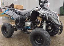 Atv Renegade 125cc Roti de 7 Inch,import Germania