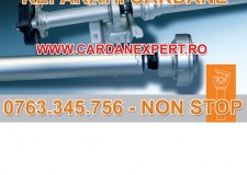 Reparatie Cardan DAF CF,LF,XF