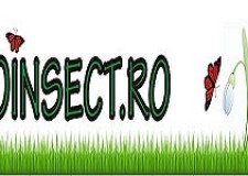 Aparate anti rozatoare cu ultrasunete