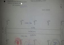 Teren Extravilan Localitatea Branesti sat Islaz Judetul Ilfov