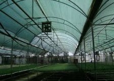 Sere necalificati Austria/ 1900 euro