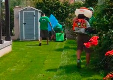 intretinere spatii verzi germania