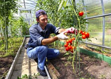 agricultura germania