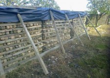 vand spalieri de vie