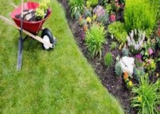 Muncitori Spatii verzi Suedia/ 2600 euro