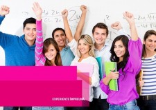 Operator sondaje si cercetare de piata