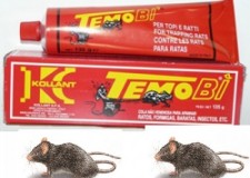 Lipici de prins soareci Temo Bi 135 g