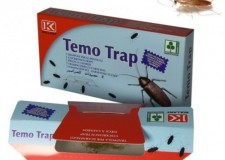 CapcanÄƒ adezivÄƒ pentru gÃ¢ndaci pe bazÄƒ de feromoni Temo trap - 1 buc.