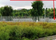 Teren intravilan construibil bloc vedere lac Petricani Lac Tei