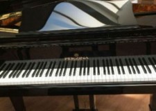 Vanzare Piane cu Coada noi