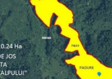 Vand padure netaiata 10.24Ha fag, 4250 Euro/Ha, Dambovita