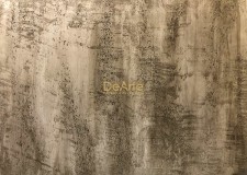 Finisaj Efect Ciment