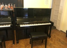Vanzari pianine reconditionate si second hand