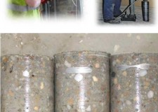 Gaura hota - Gaura centrala