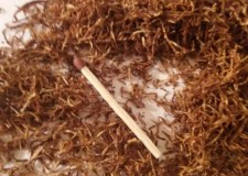 Engros tutun Virginia Bright premium import Italia