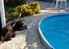 Menajera interna/externa