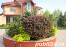 Secretara Presedinte Holding