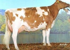 Obtineti subventia maxima