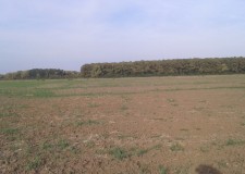 Teren 19,078.19 m.p., Buftea