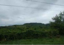 Teren 13500 mp, Sat Vranesti, Calinesti, Arges