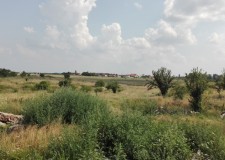Teren intravilan 30900 mp, sat Livada, Arad