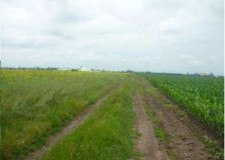 Teren 2375 mp, strada Drumul Dealul Viei, Bucuresti