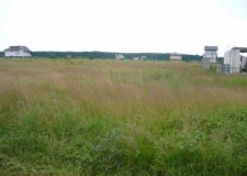 Teren 1008 mp si drum acces 241.52 mp, Balotesti, Ilfov