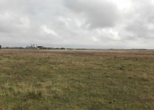 Teren intravilan 26606 mp, Sacalaz, Timis