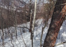 Teren intravilan 9400 mp, Moieciu de Jos, Brasov