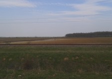 Teren 10500 mp, Mogosoaia, T27, P213, Ilfov