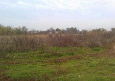 Teren 4,995 mp, Movila, Dambovita