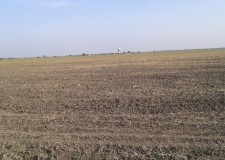 Teren 41863 mp (53 loturi)